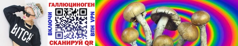 Псилоцибиновые грибы Cubensis  дарк нет формула  Волжский  блэк спрут сайт 